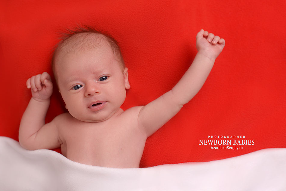 Не всегда новорожденные спят во время фотосессии Не всегда новорожденные спят во время фотосессии
