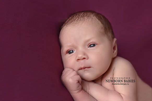фотосессия новорожденной Даши. г. Выборг фотография с фотосессии новорожденной Даши из города Выборга